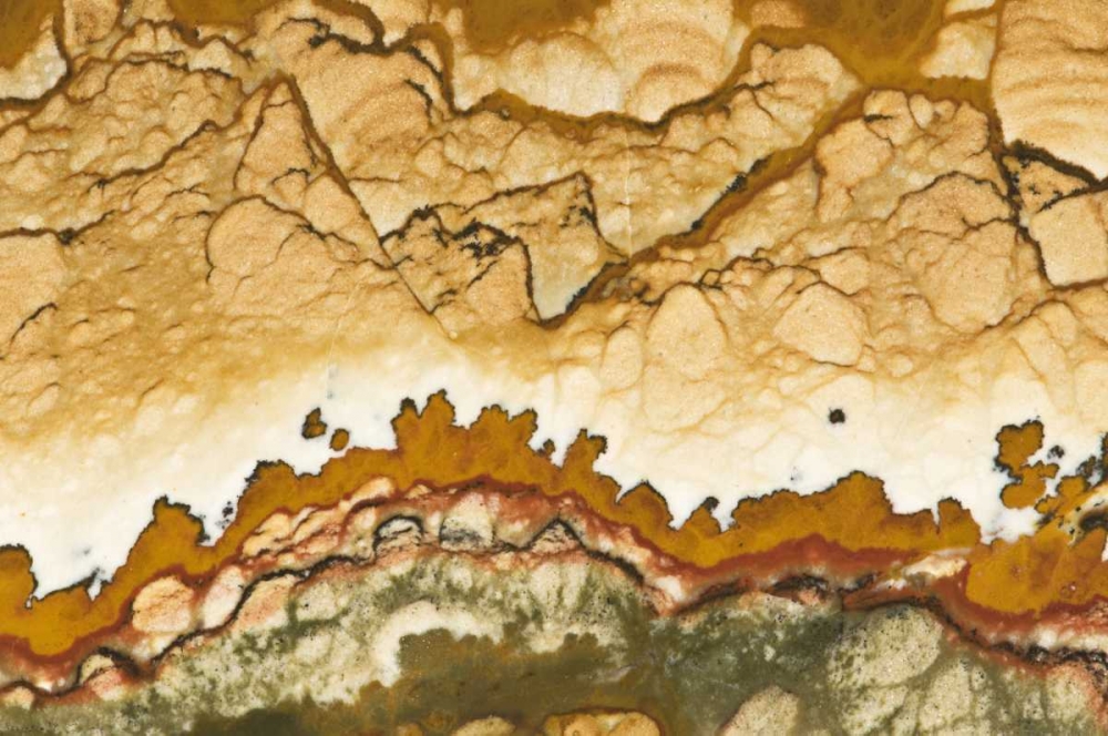 Oregon, Rocky Butte Picture jasper stone art print by Dennis Kirkland for $57.95 CAD