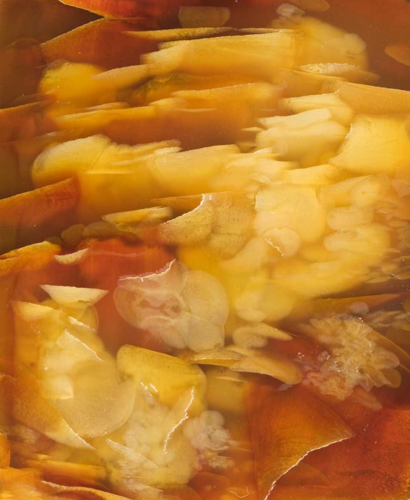 USA, Oregon Close-up of red flake agate stone art print by Dennis Kirkland for $57.95 CAD