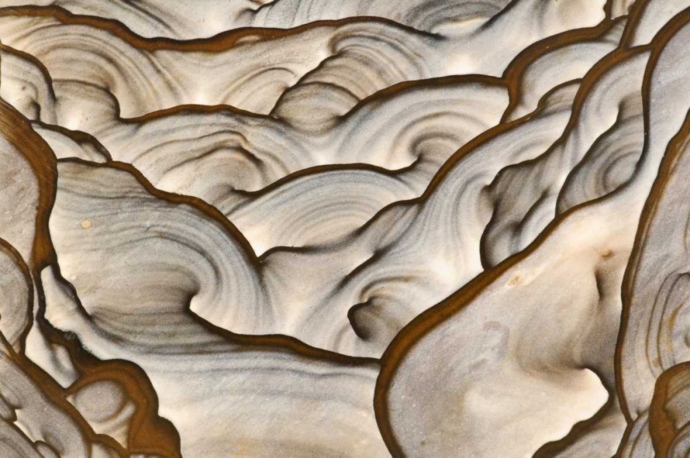 Oregon, Biggs Close-up of picture jasper stone art print by Dennis Kirkland for $57.95 CAD