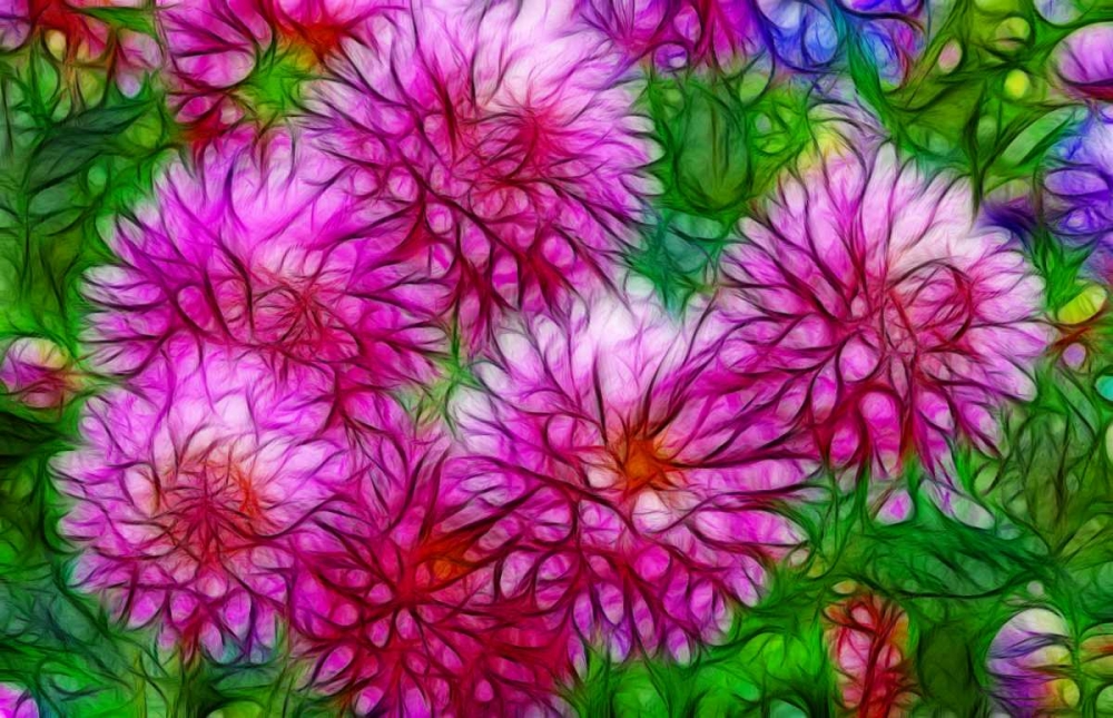 Oregon Abstract of pink dahlias art print by Jean Carter for $57.95 CAD