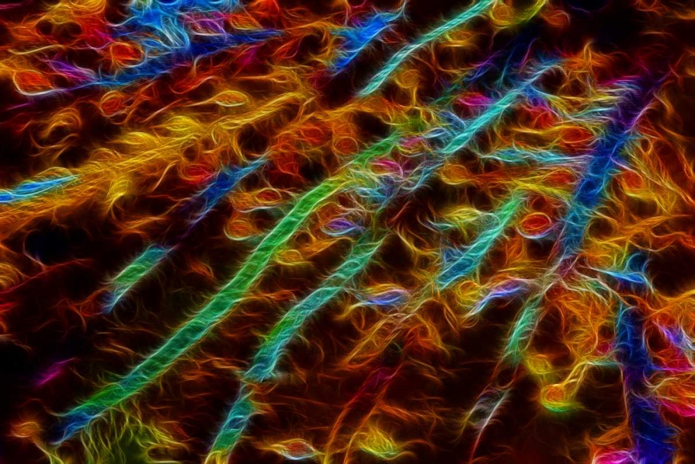 OR, Bandon Abstract of Pacific sea kelp art print by Jean Carter for $57.95 CAD