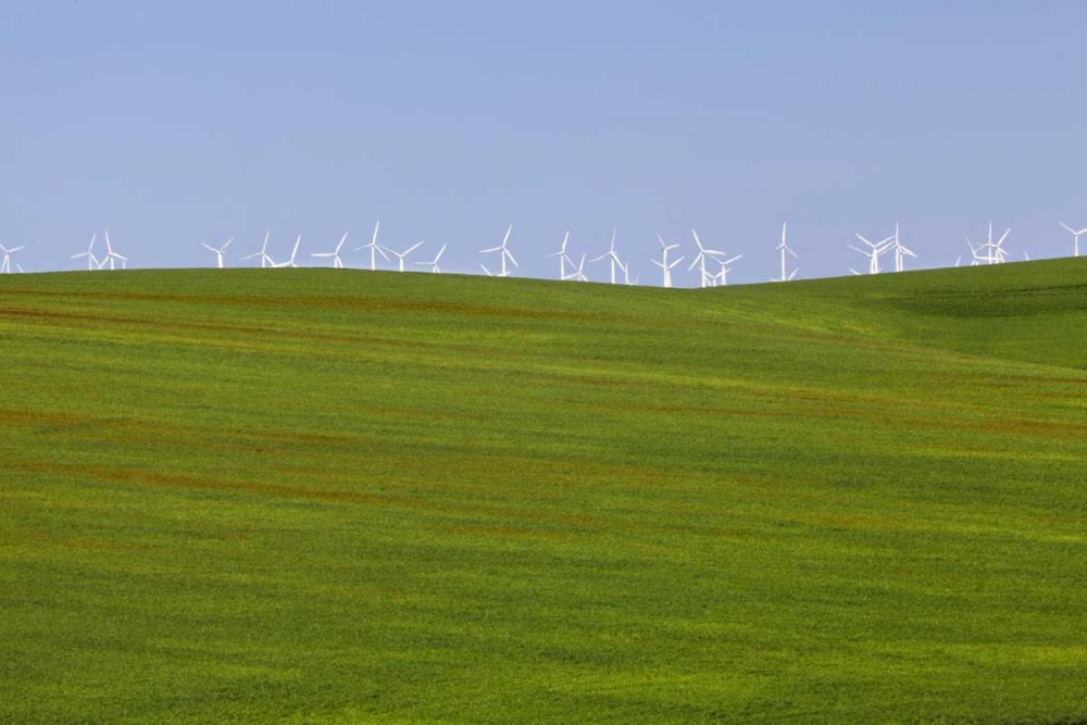 OR, Wasco Wind turbines on verdant farm field art print by Don Paulson for $57.95 CAD