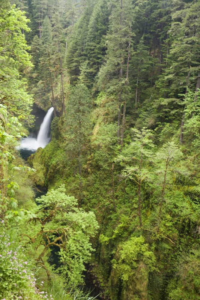 OR, Columbia Gorge Metlako Falls art print by Don Paulson for $57.95 CAD