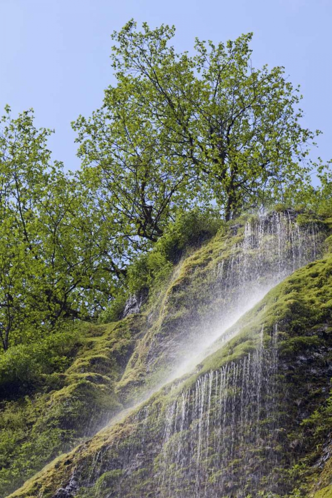 OR, Columbia Gorge Waterfall flowing from cliff art print by Don Paulson for $57.95 CAD
