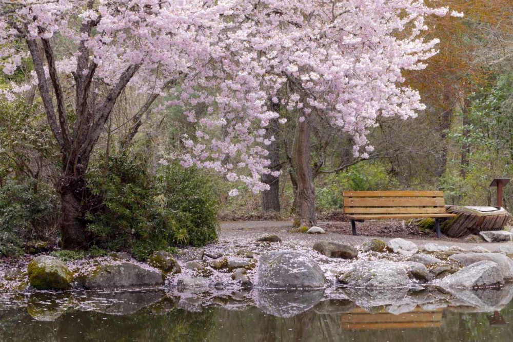 Oregon, Ashland Spring scenic in Lithia Park art print by Don Paulson for $57.95 CAD