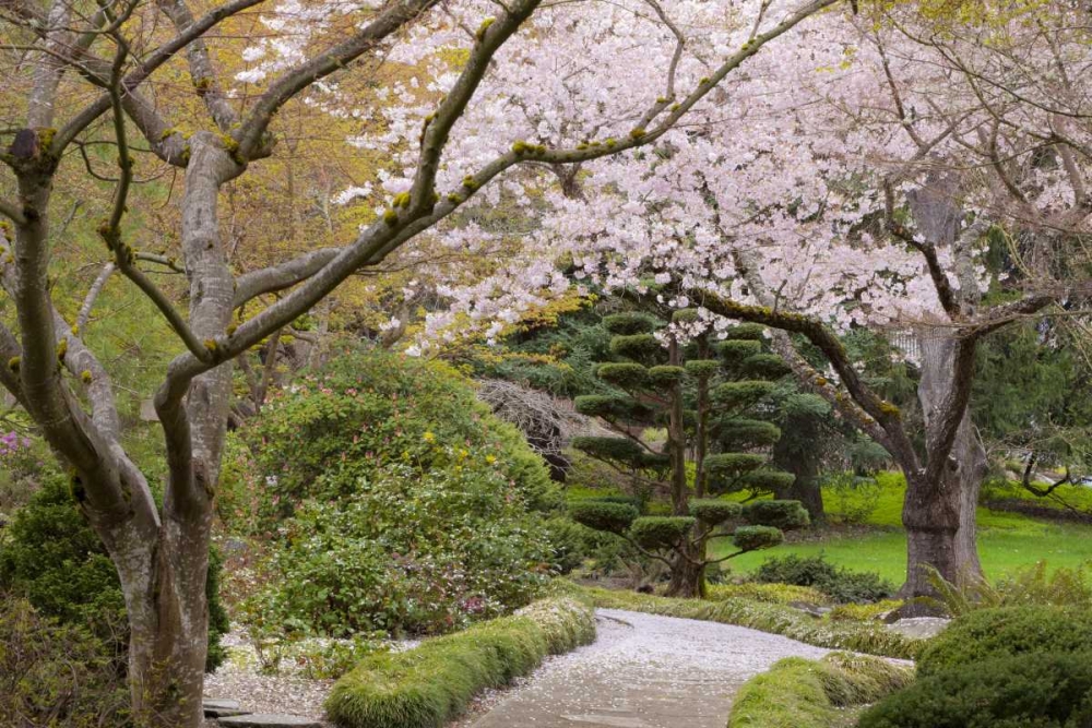 Oregon, Ashland Spring scenic in Lithia Park art print by Don Paulson for $57.95 CAD