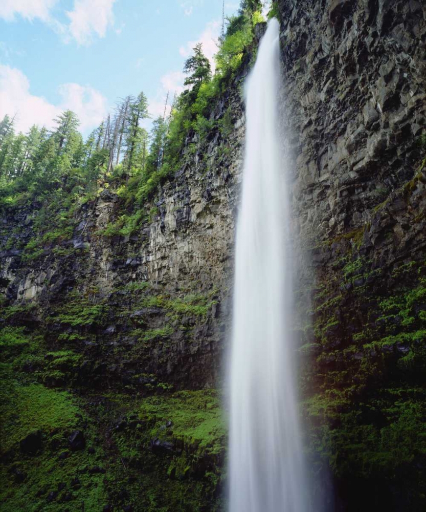USA, Oregon, A waterfall in an old-growth forest art print by Christopher Talbot Frank for $57.95 CAD
