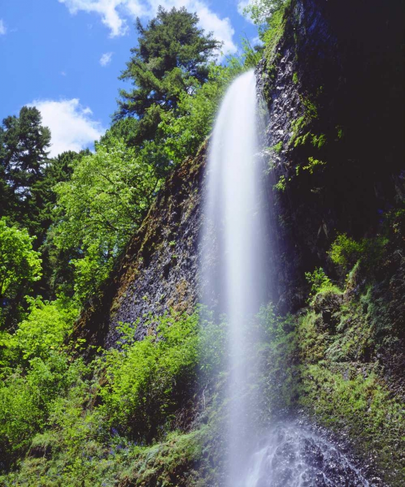 Oregon, A waterfall in the mountains art print by Christopher Talbot Frank for $57.95 CAD