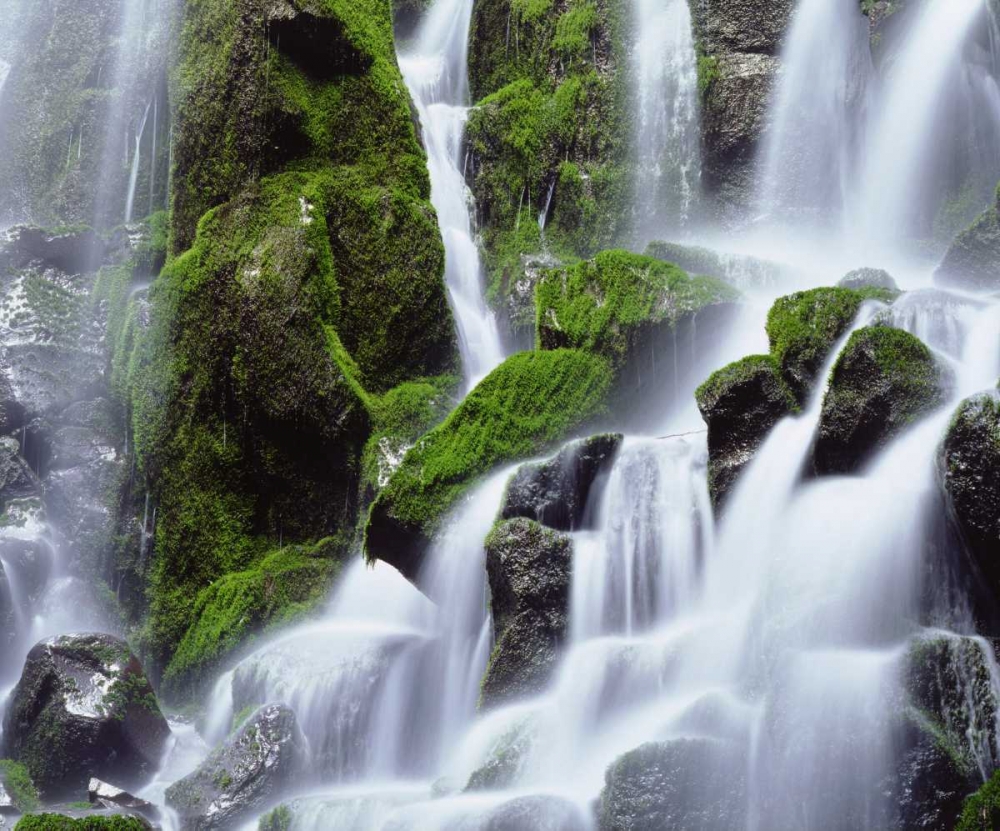 USA, Oregon, Mount Hood, Ramona Falls art print by Christopher Talbot Frank for $57.95 CAD