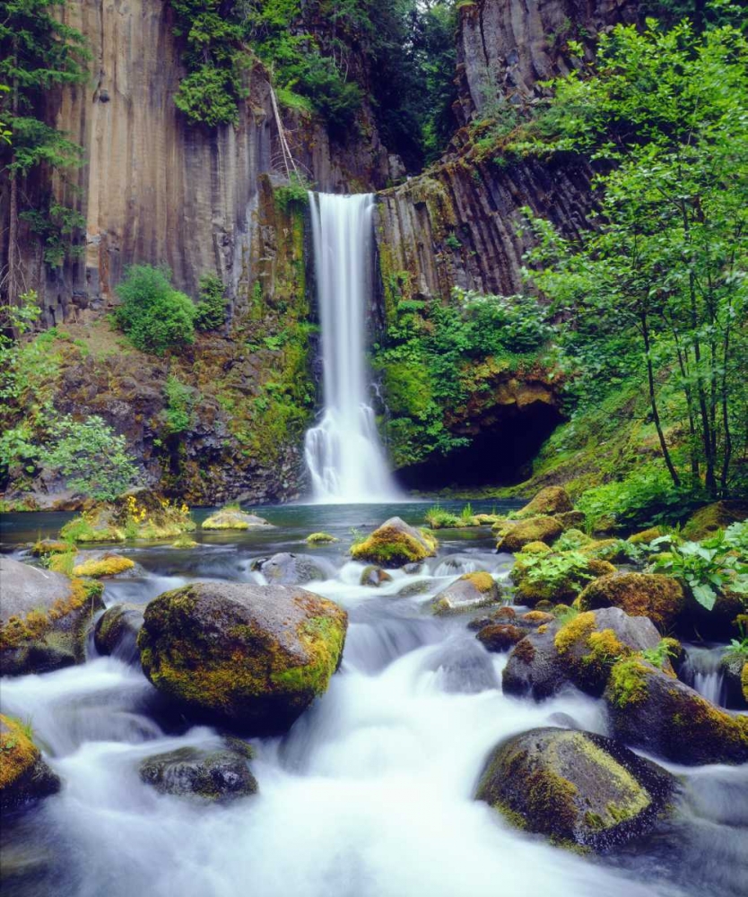 Oregon, Toketee Waterfall and Basalt Formation art print by Christopher Talbot Frank for $57.95 CAD