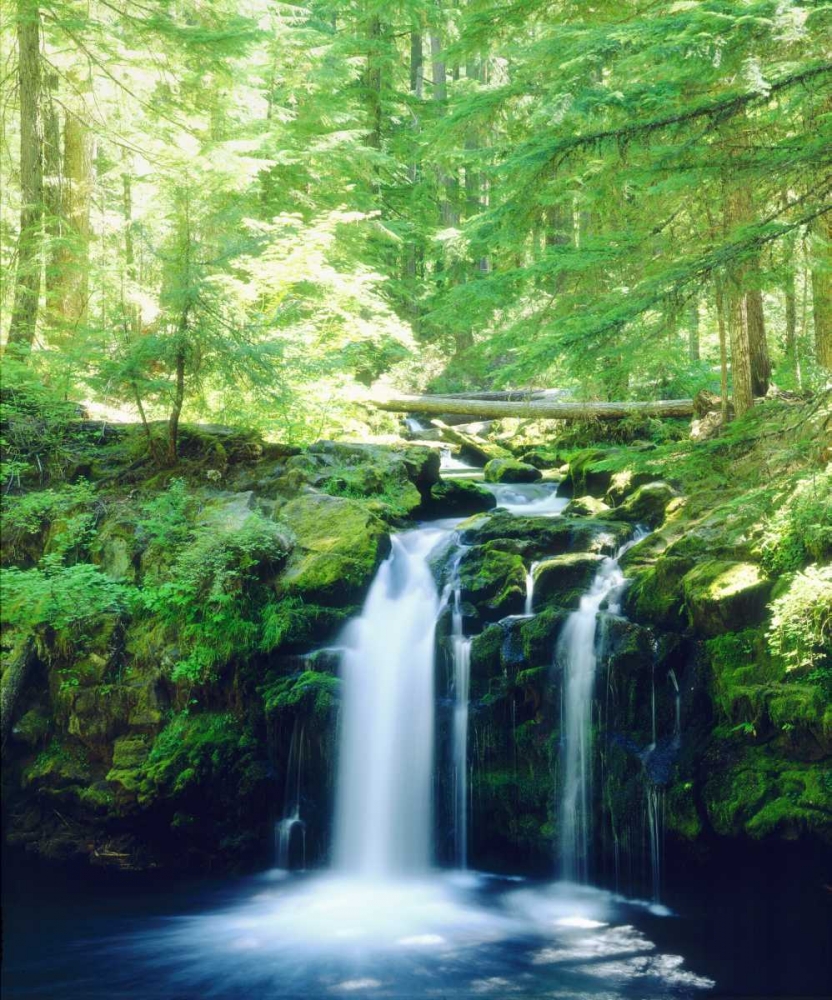 USA, Oregon, Whitehorse Waterfall in Oregon art print by Christopher Talbot Frank for $57.95 CAD