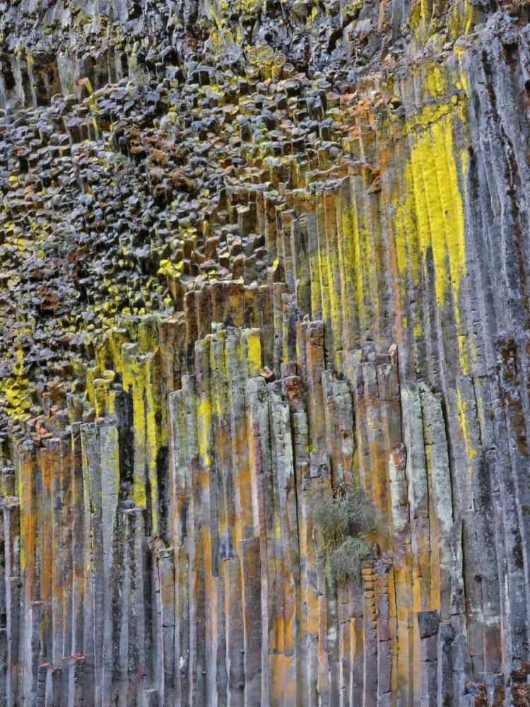 OR, Columnar basalt covered with lichen art print by Steve Terrill for $57.95 CAD