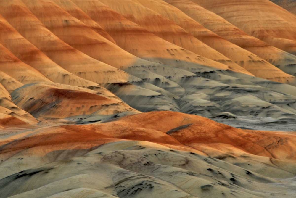 Oregon, John Day Fossil Beds NM Painted Hills art print by Steve Terrill for $57.95 CAD