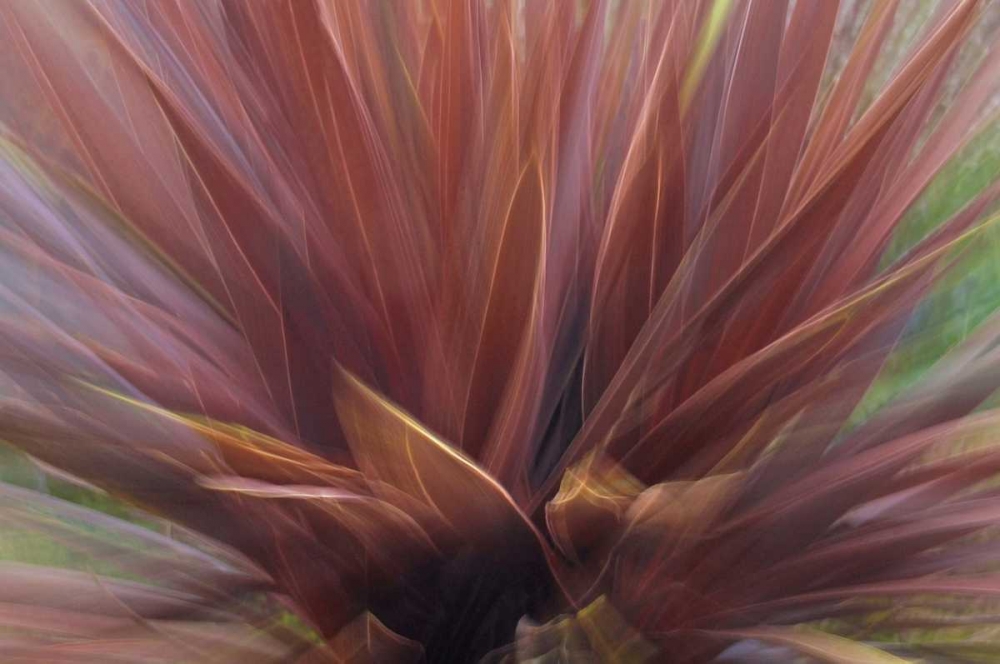 USA, Oregon, Portland Abstract of red flax plant art print by Steve Terrill for $57.95 CAD