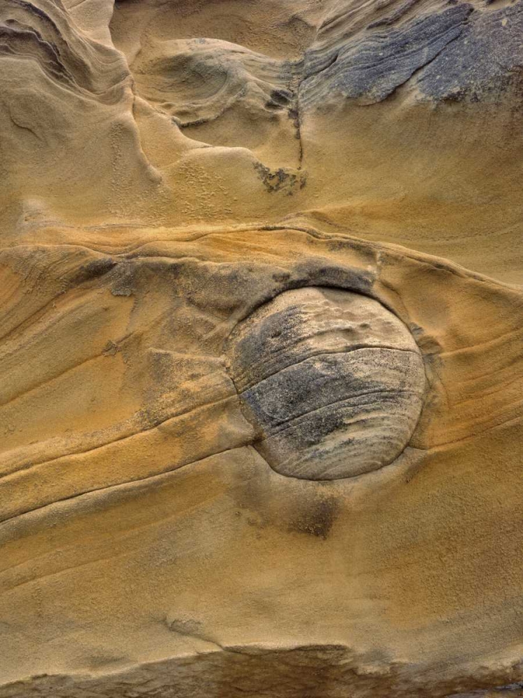 OR, Shore Acres SP Round rock in sandstone art print by Steve Terrill for $57.95 CAD