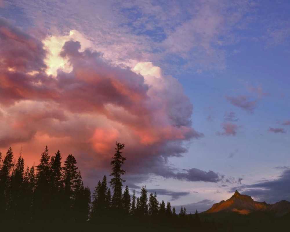 Oregon, Umpqua NF Storm approaching Mt Thielsen art print by Steve Terrill for $57.95 CAD