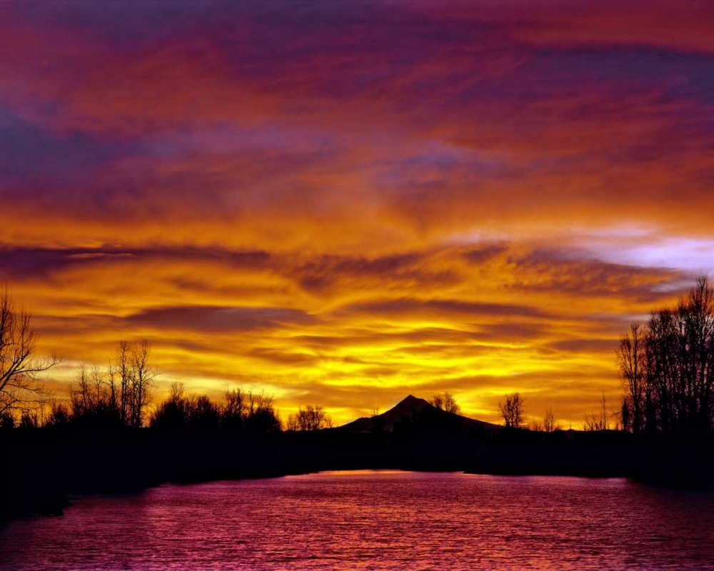 Oregon Mt Hood and Whitaker Pond at sunrise art print by Steve Terrill for $57.95 CAD