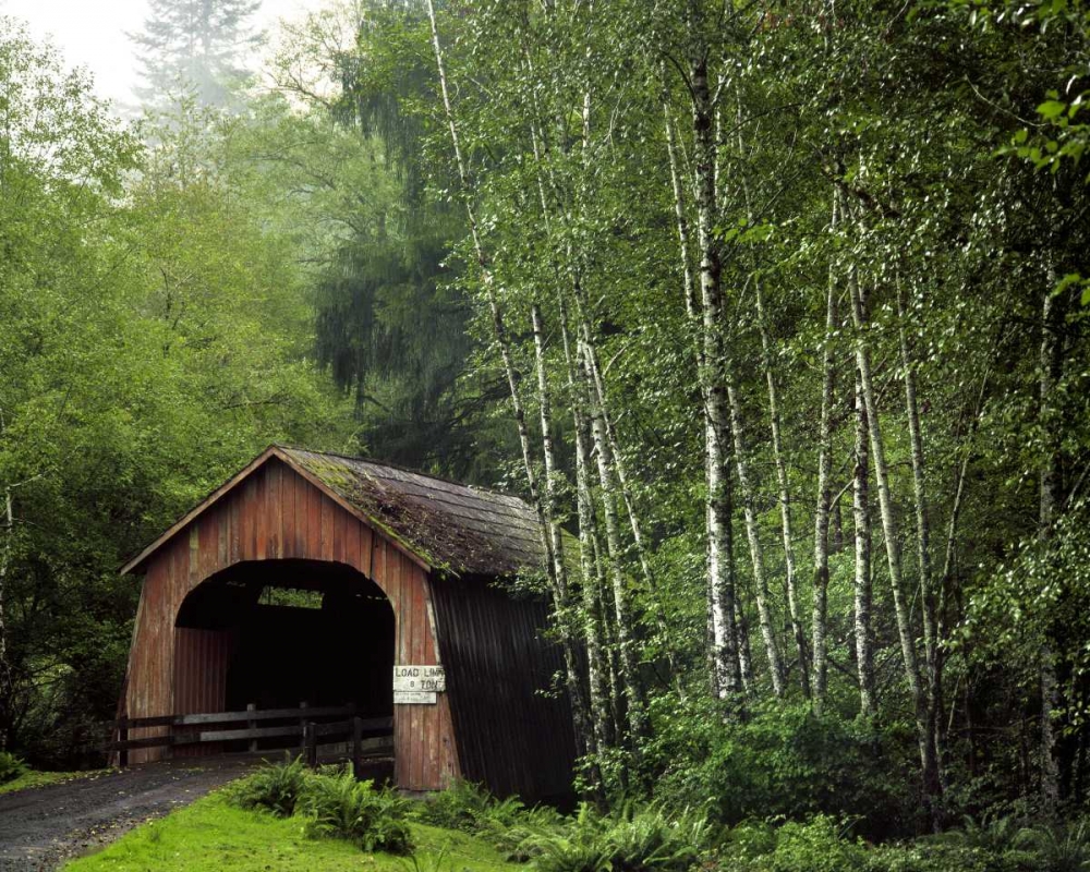 OR, Yachats River, Covered bridge over North Fork art print by Steve Terrill for $57.95 CAD