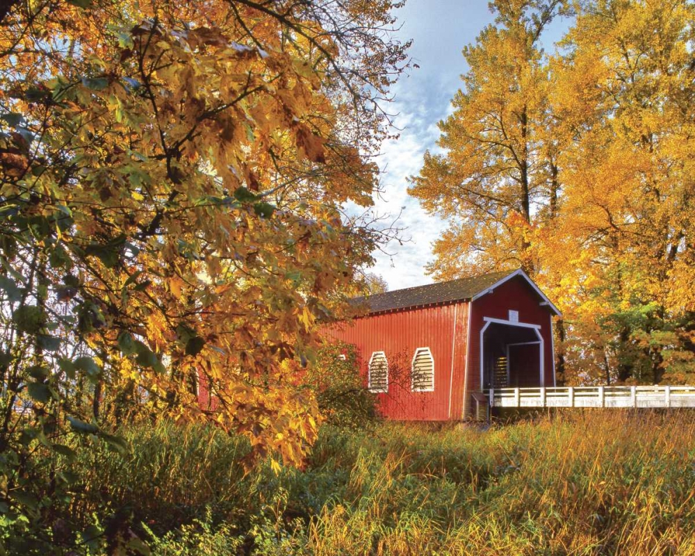 OR, Shimanek covered bridge in morning light art print by Steve Terrill for $57.95 CAD