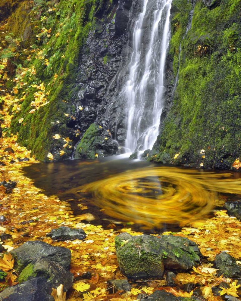OR, Columbia Gorge Starvation Creek waterfall art print by Steve Terrill for $57.95 CAD
