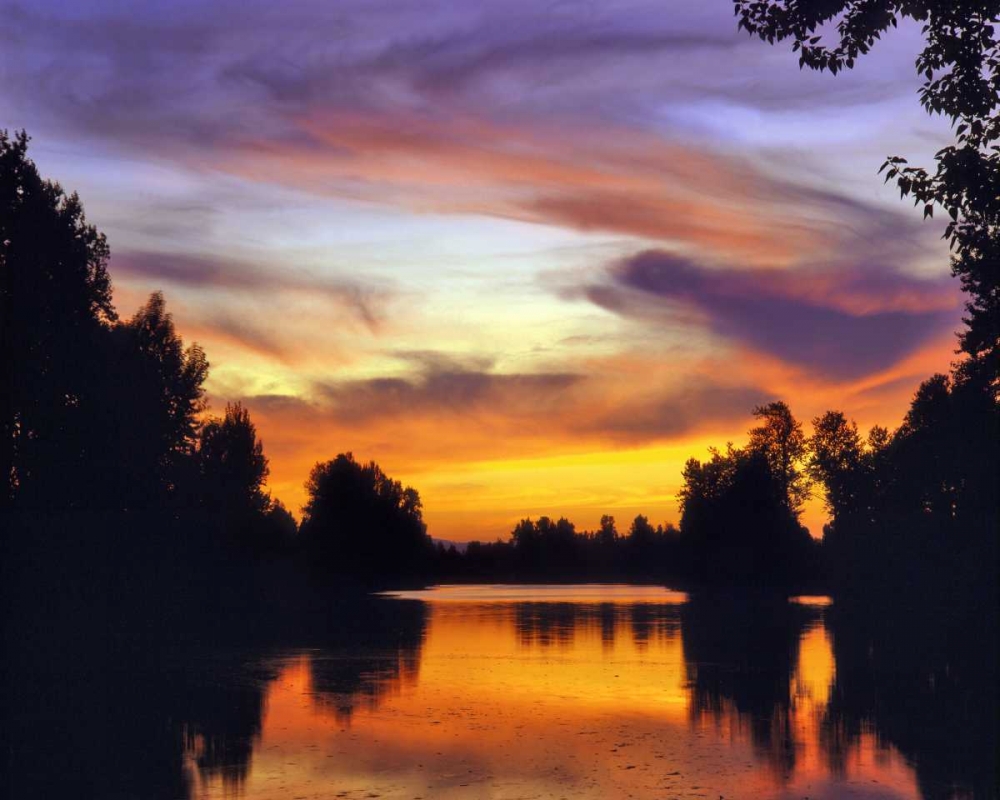 USA, Oregon Sunset reflecting in Columbia Slough art print by Steve Terrill for $57.95 CAD