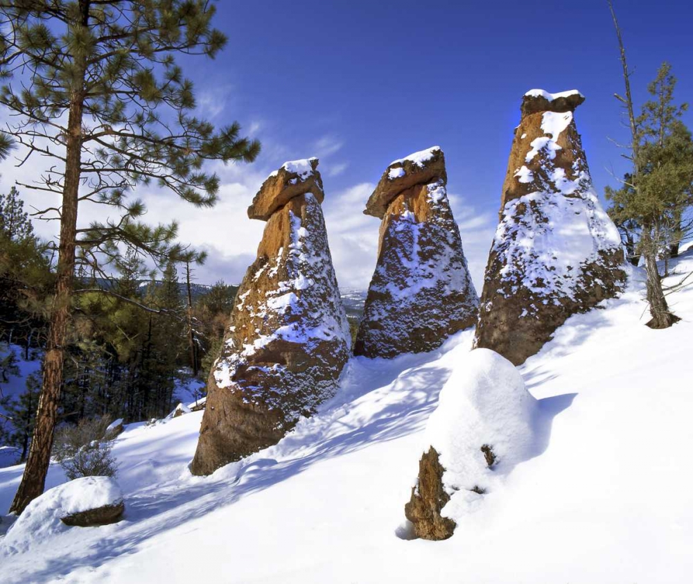 OR, Jefferson Co, The Balancing Rocks in winter art print by Steve Terrill for $57.95 CAD
