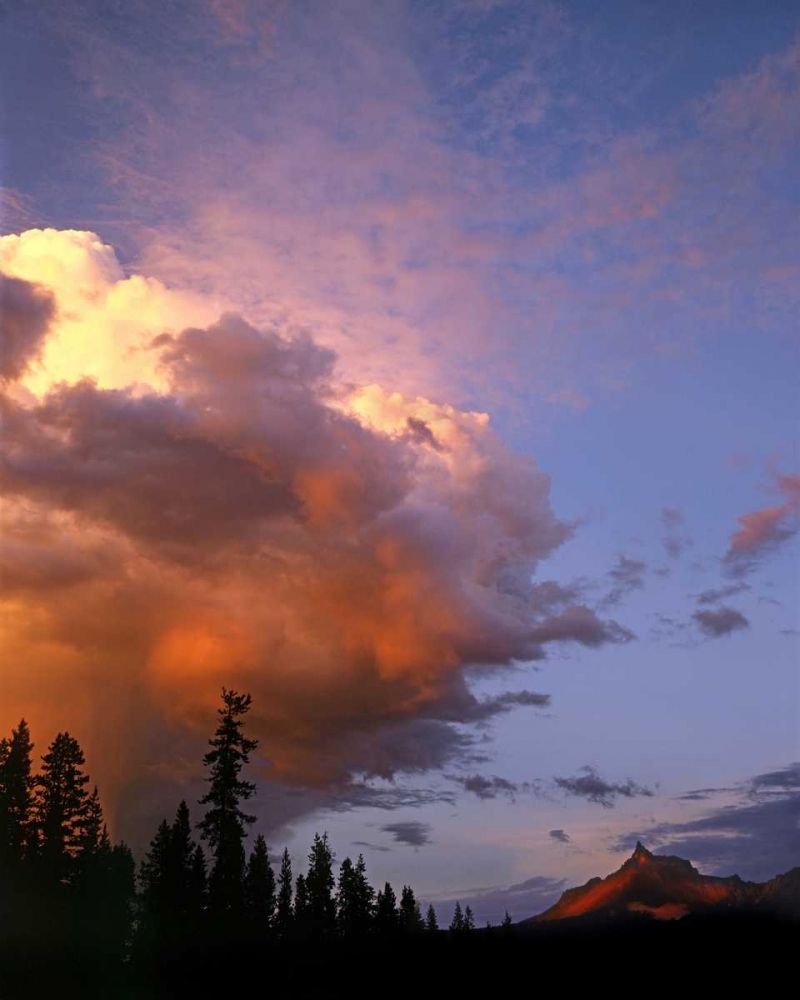 OR, Umpqua NF Storm approaching Mt Thielsen art print by Steve Terrill for $57.95 CAD