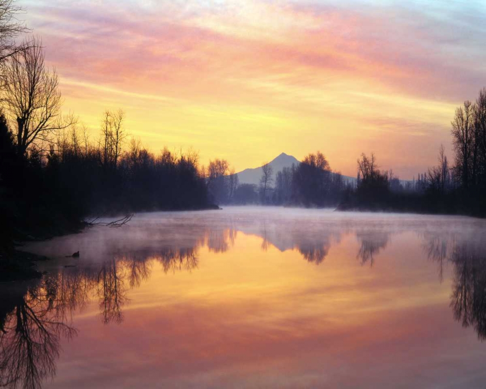 Oregon Mt Hood and Whitaker Pond at sunrise art print by Steve Terrill for $57.95 CAD