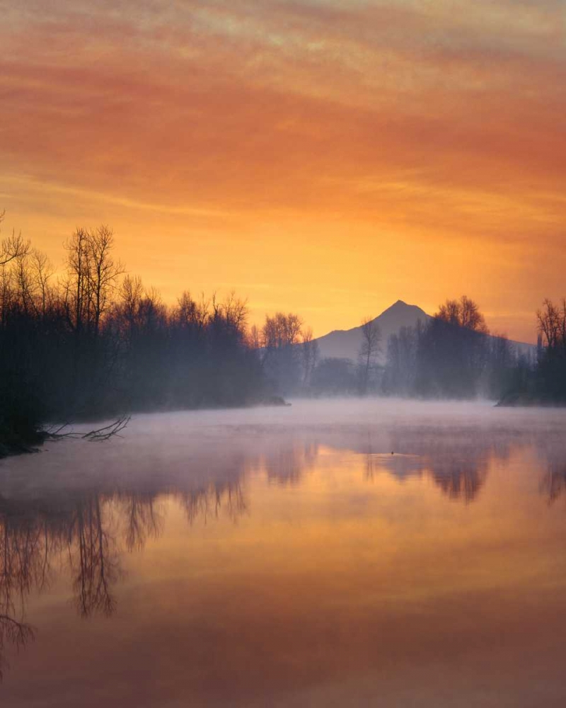 Oregon Mt Hood and Whitaker Pond at sunrise art print by Steve Terrill for $57.95 CAD