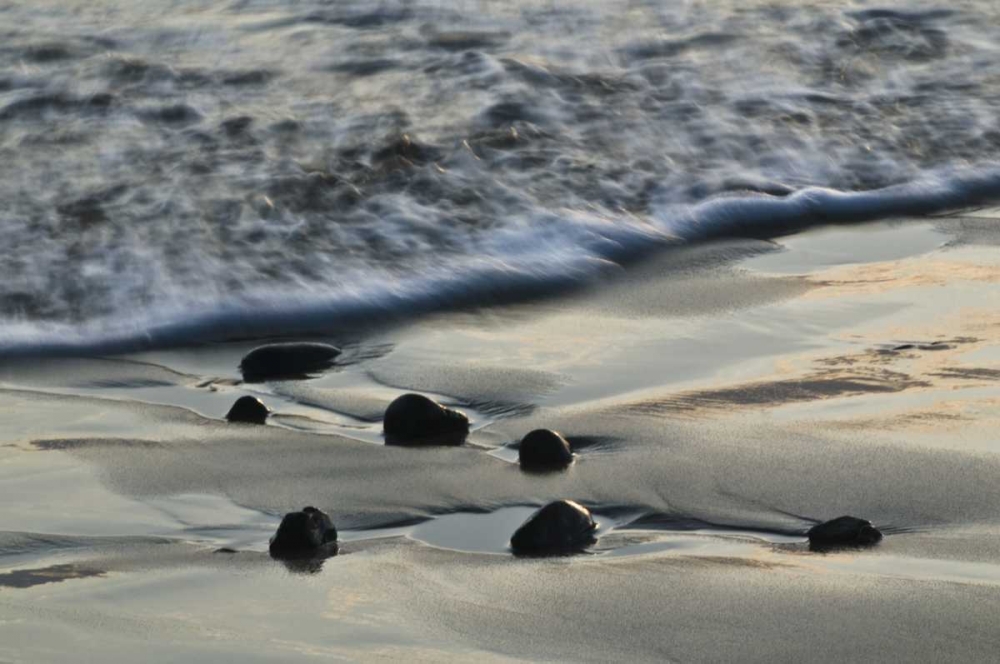USA, Oregon Beach scenic art print by Nancy Rotenberg for $57.95 CAD
