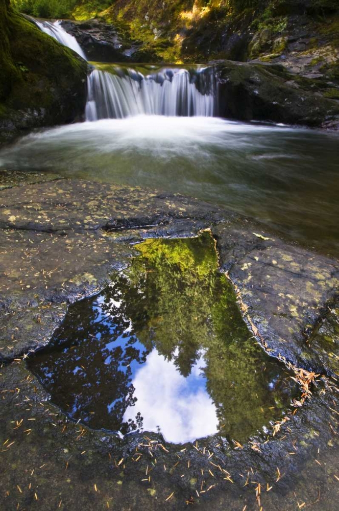 OR, Sweet Creek Trees and clouds in a Puddle art print by Nancy Rotenberg for $57.95 CAD