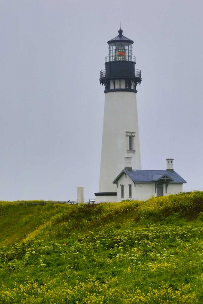 USA, Oregon Yaquina Head Lighthouse on foggy day art print by Jean Carter for $57.95 CAD