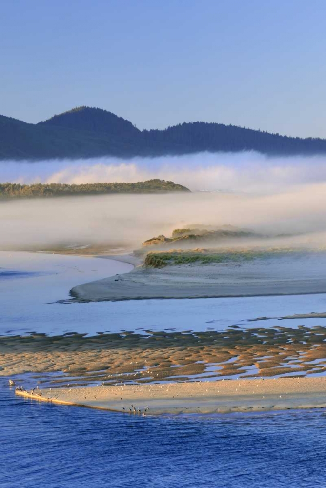 USA, Oregon Fog over Netarts Bay art print by Steve Terrill for $57.95 CAD