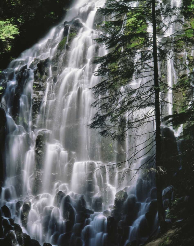 Oregon, Mt Hood Wilderness Ramona Falls art print by Steve Terrill for $57.95 CAD