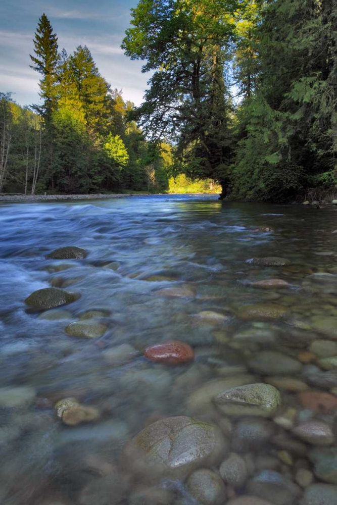 Oregon, Mt Hood NF Sandy River landscape art print by Steve Terrill for $57.95 CAD