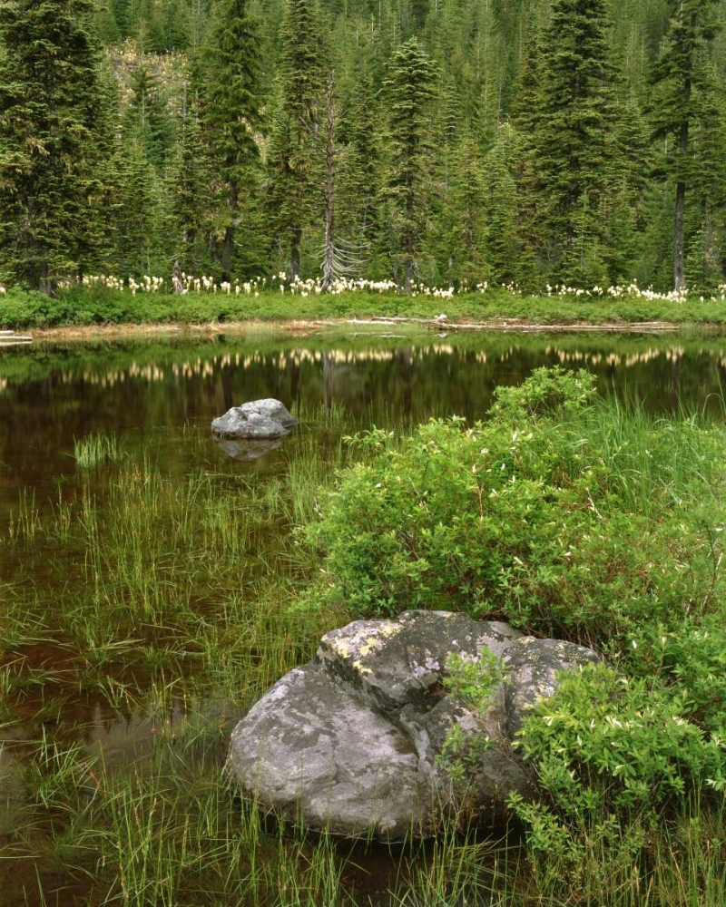 Oregon, Mt Hood NF Reflections in Surprise Lake art print by Steve Terrill for $57.95 CAD