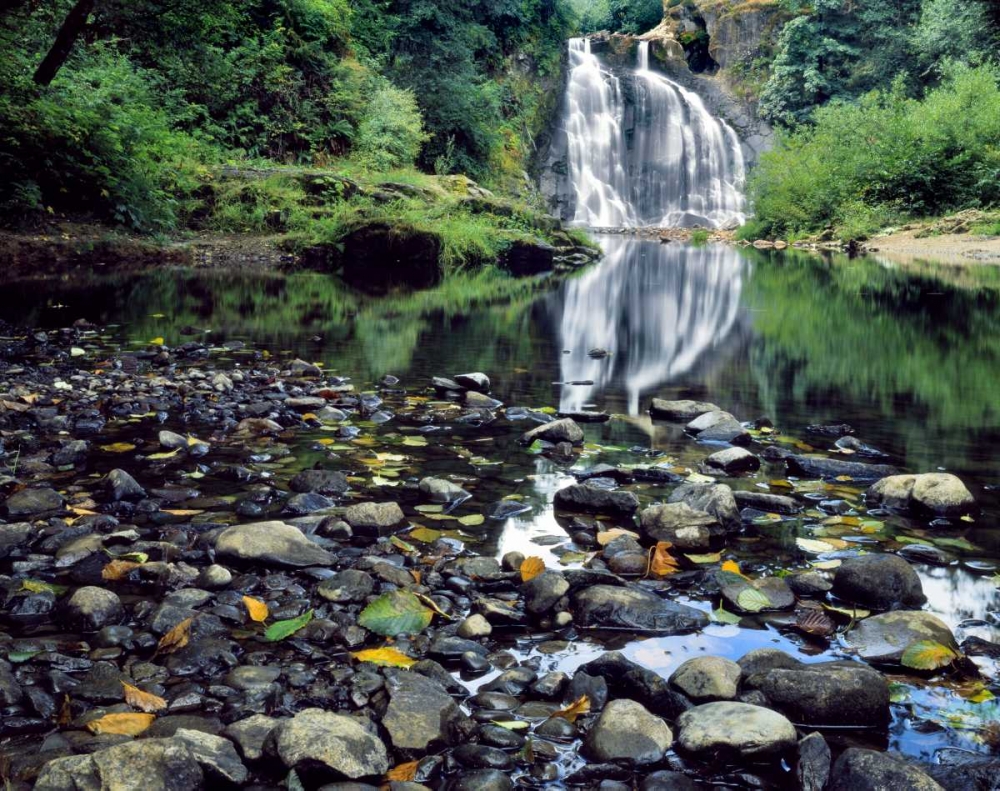 Oregon, Youngs River Falls Waterfall landscape art print by Steve Terrill for $57.95 CAD