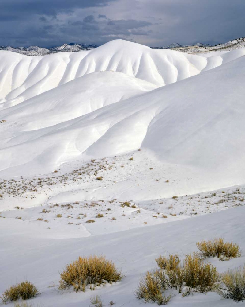 OR, John Day Fossil Beds NM The Painted Hills art print by Steve Terrill for $57.95 CAD