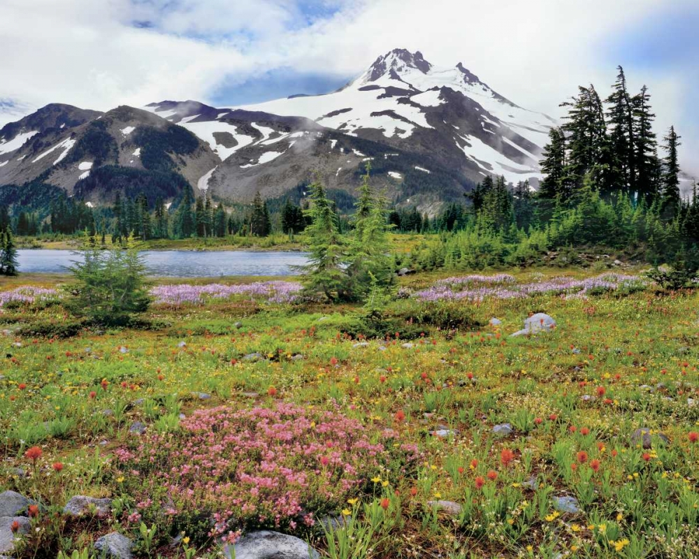 OR Mt Jefferson and field of flowers art print by Steve Terrill for $57.95 CAD