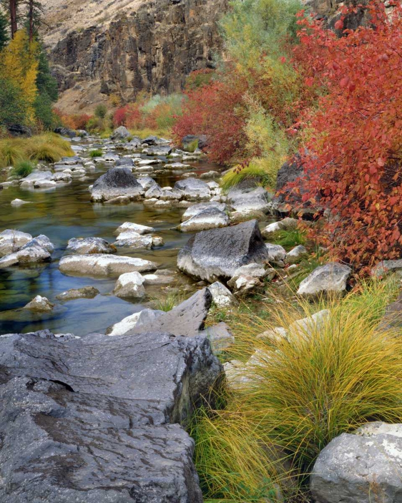 USA, Oregon Fall colors along John Day River art print by Steve Terrill for $57.95 CAD