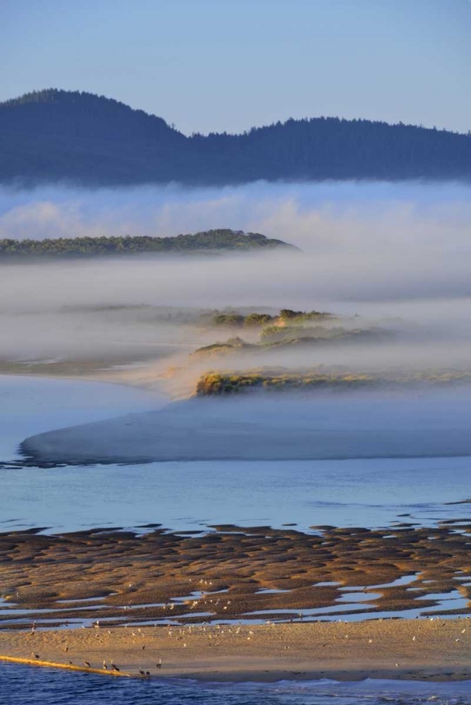 USA, Oregon Morning fog over Netarts Bay art print by Steve Terrill for $57.95 CAD