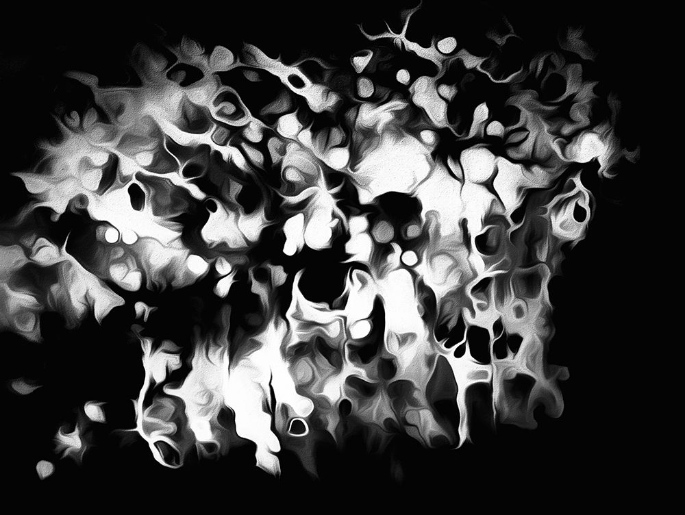 Oregon Abstract of black and white photograph art print by Jaynes Gallery for $57.95 CAD