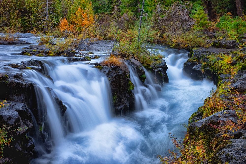Oregon-Rogue-Umpqua Scenic Byway Upper Rogue River cascades into narrow gorge art print by Jaynes Gallery for $57.95 CAD