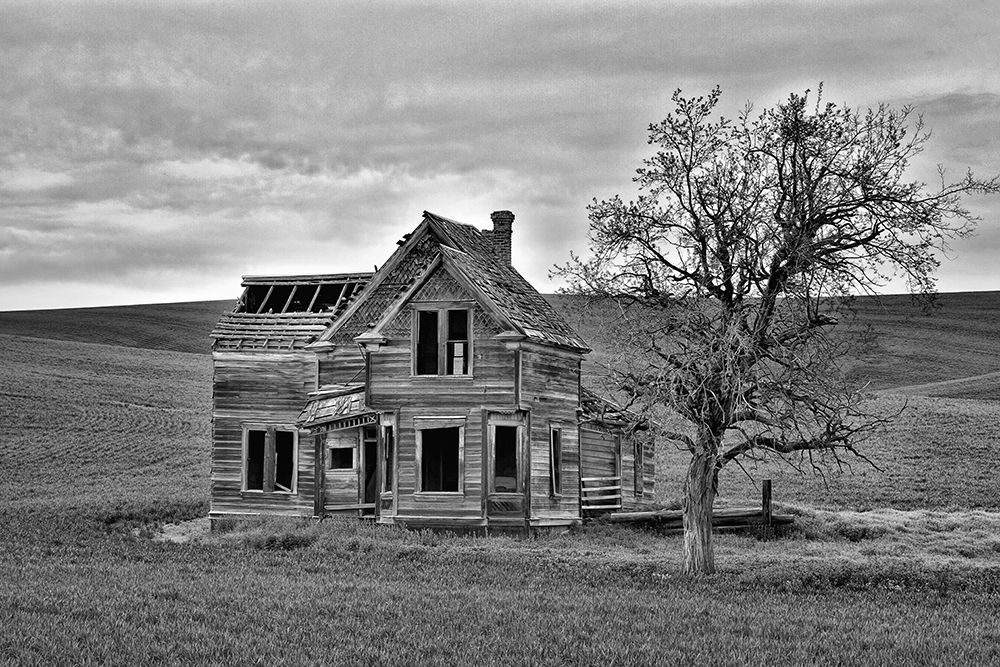 Oregon-Dufur Historic abandoned Nelson house art print by Jaynes Gallery for $57.95 CAD