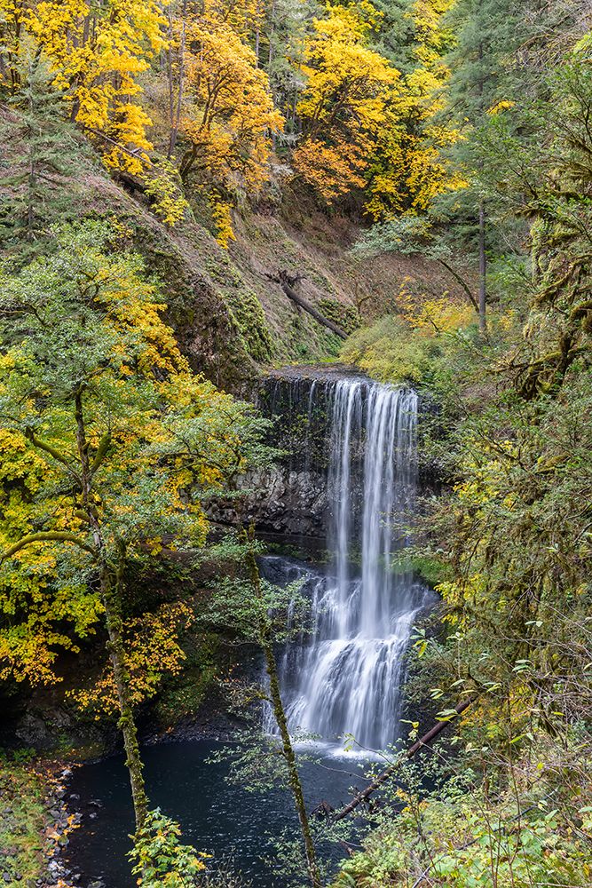 USA-Oregon-Silver Falls State Park Lower South Falls waterfall landscape art print by Jaynes Gallery for $57.95 CAD