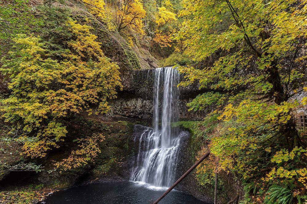 USA-Oregon-Silver Falls State Park Lower South Falls waterfall landscape art print by Jaynes Gallery for $57.95 CAD