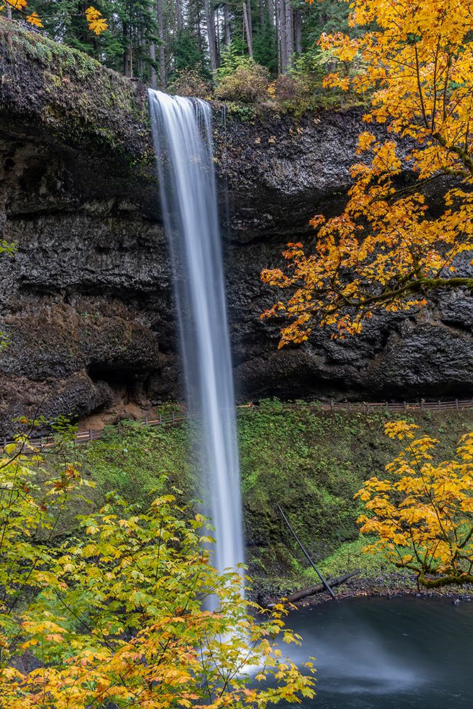USA-Oregon-Silver Falls State Park Tall waterfall and forest in autumn art print by Jaynes Gallery for $57.95 CAD