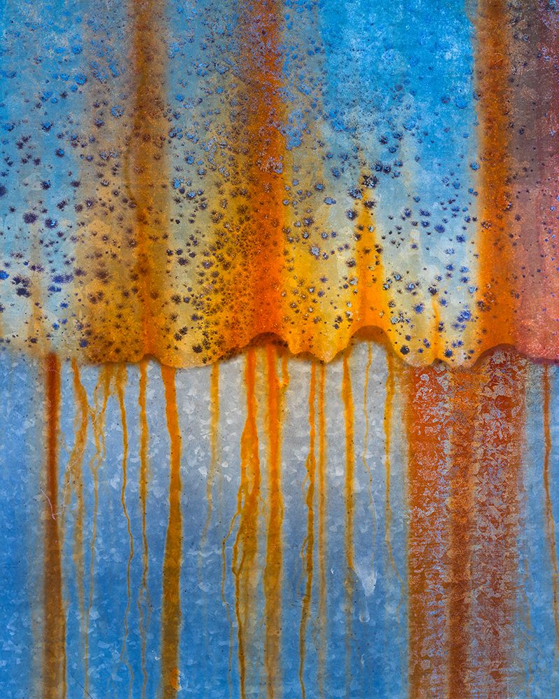 USA, Oregon, Tillamook. Rust patterns on old farm machinery. art print by Jaynes Gallery for $57.95 CAD