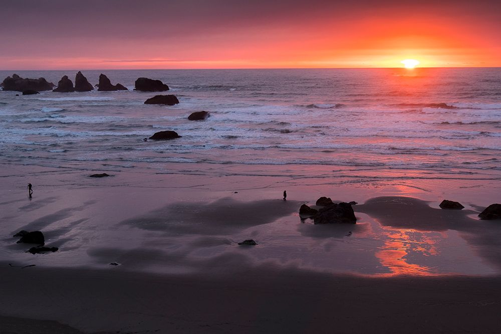 Sunset lights up Bandon Beach in Oregon. art print by Betty Sederquist for $57.95 CAD