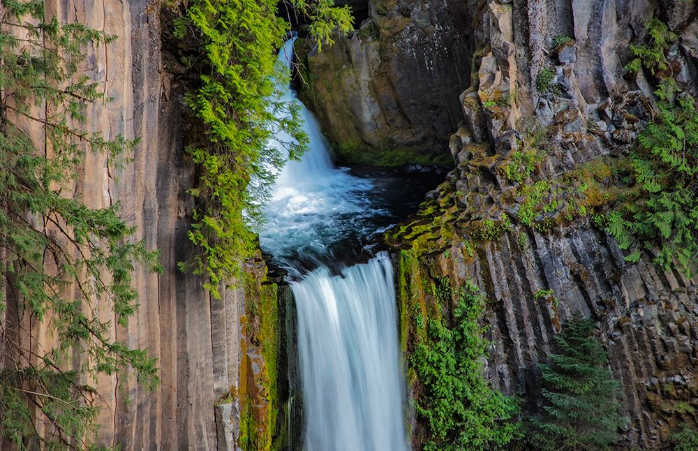 Toketee Falls runs over basalt columns in the Umpqua National Forest-Oregon-USA art print by Chuck Haney for $57.95 CAD